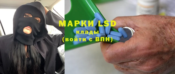 ГАЛЛЮЦИНОГЕННЫЕ ГРИБЫ Бородино
