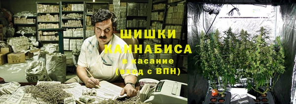 прущие крисы Бронницы