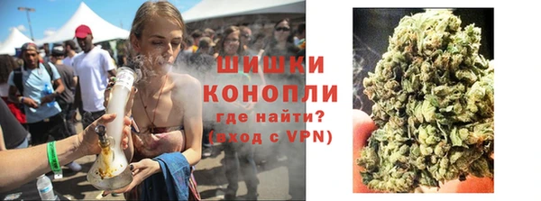 ГАЛЛЮЦИНОГЕННЫЕ ГРИБЫ Бородино