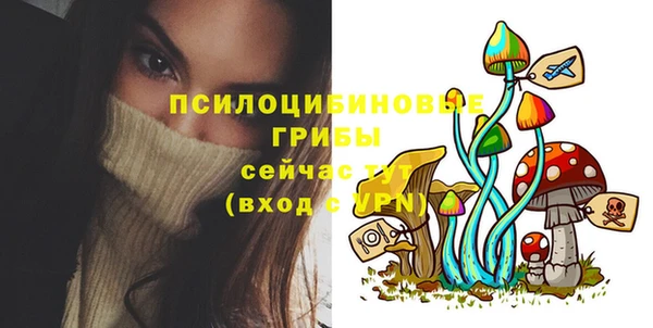 прущие крисы Бронницы