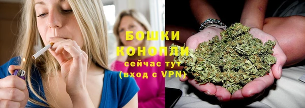 ГАЛЛЮЦИНОГЕННЫЕ ГРИБЫ Бородино