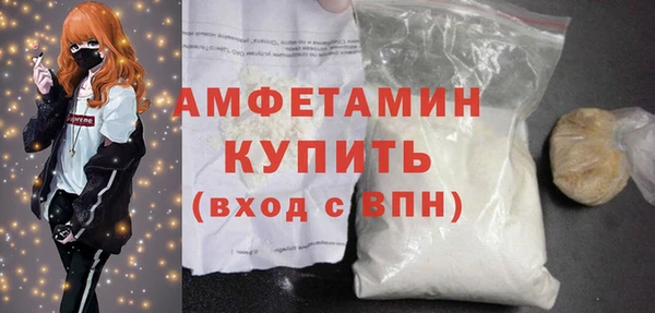 ГАЛЛЮЦИНОГЕННЫЕ ГРИБЫ Бородино