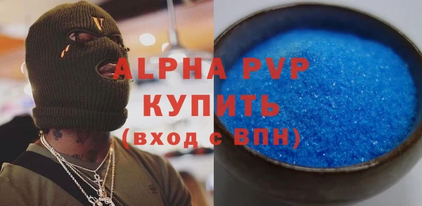 ГАЛЛЮЦИНОГЕННЫЕ ГРИБЫ Бородино