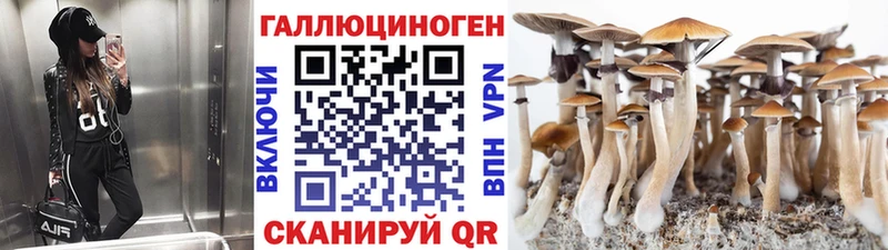 Псилоцибиновые грибы ЛСД  Купить где  Ядрин 